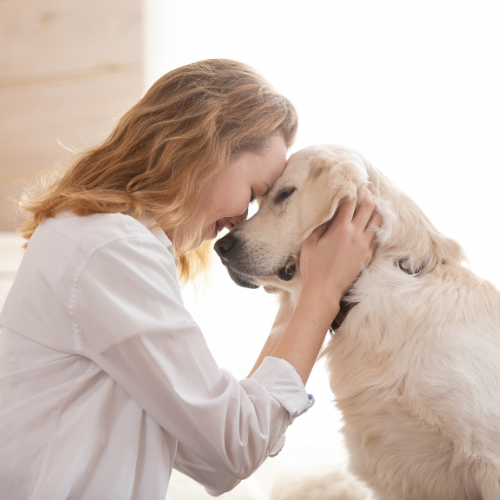 Pets