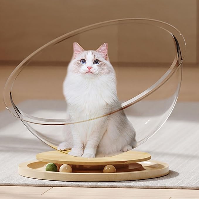 Space Capsule Cat Bed