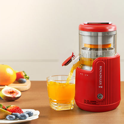Luo Ya Slow Juicer