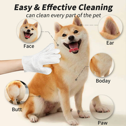 Pet Eye and Dental Finger Wipes